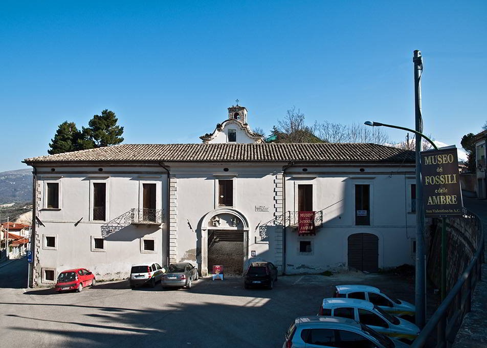 Museo dei Fossili e delle Ambre